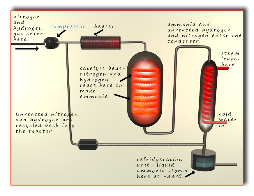 haber process assignment